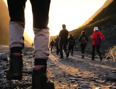 group-of-walkers